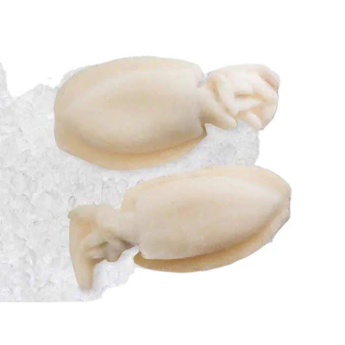 Amazing Whole Cleaned Squid Live Squid Frozen Todarodes Pacific Squid for Sale