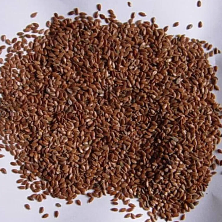 Wholesale Flax Seeds Powder Flax Seed Extract Powder