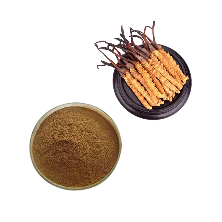 Mushrooms Extract Powder Cordyceps Militaris Extract Organic for Immune System Booster Supplements