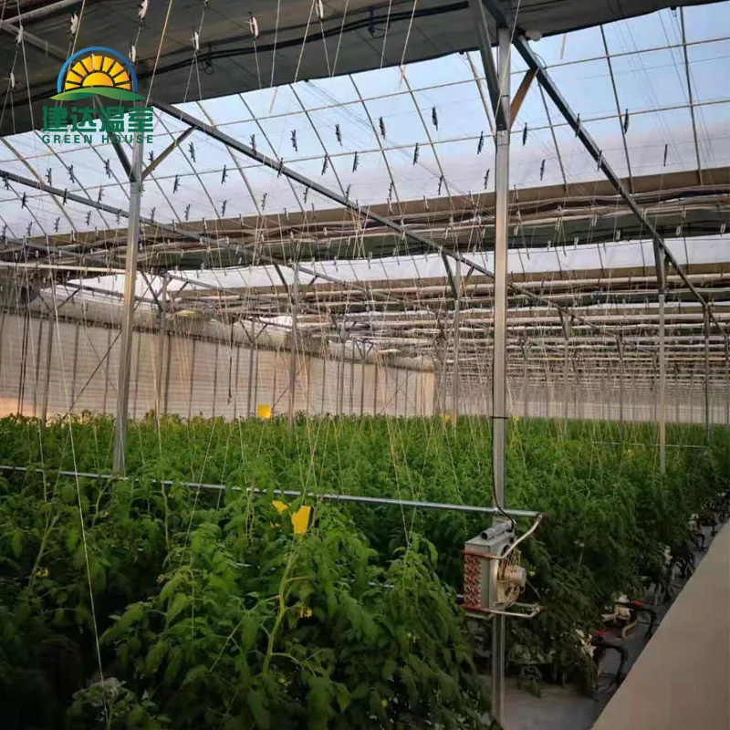 made in china SUNSGH greenhouse low price Multi-Span Agricultural PO film greenhouse china green house