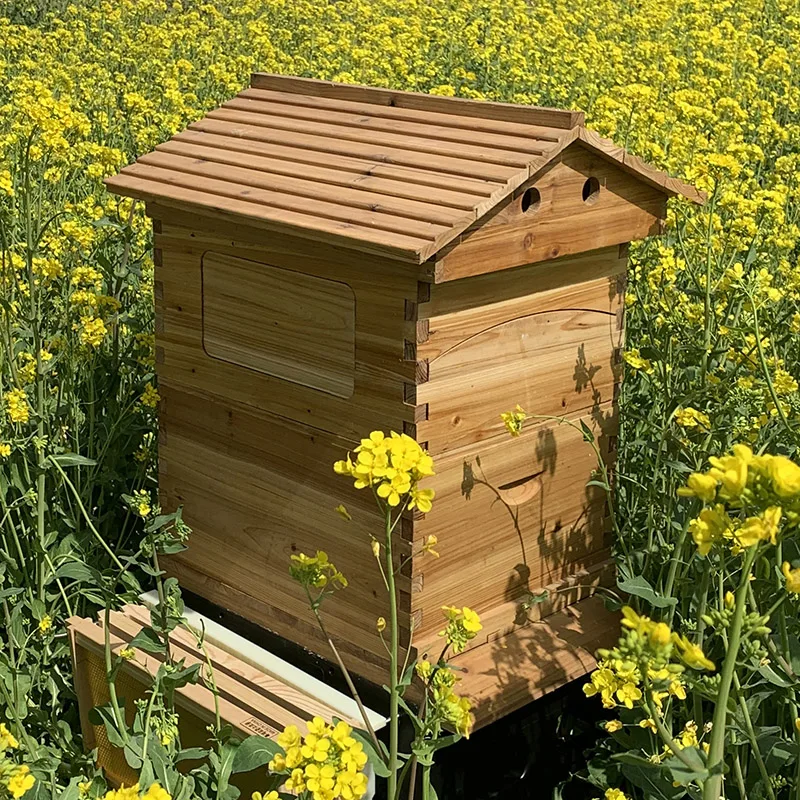 OEM Factory Price Automatic Beehive & 7 Auto Frames China Fir Wax Coated Self Automatic Bee Hive