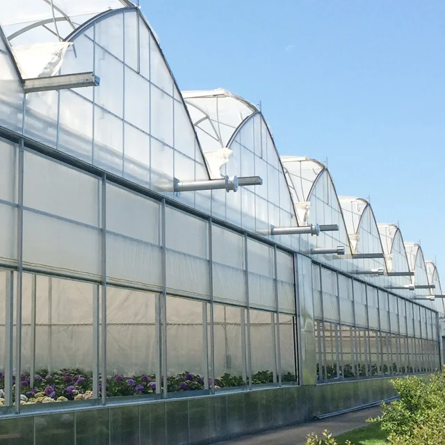 New Style Vegetable Agricultural UV Treated Plastic Film Greenhouse for sale