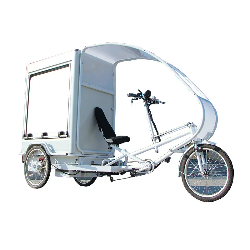 Heavy loading new design electric bicycle cargo bike adults electric tricycle 3 wheels bike three wheel bicycle cargo bike