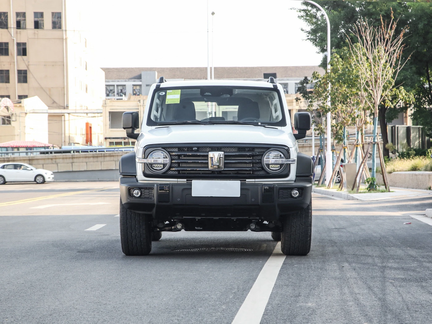 Новые автомобили Большой Настенный бак 300 2 0 т бензиновый внедорожник Космический Багги спортивный автомобиль