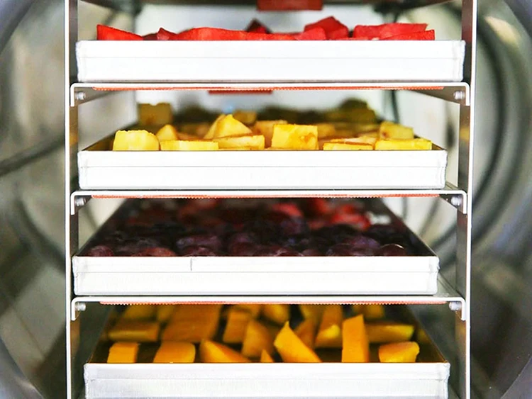 Freeze fruit making drier mango chili vegetable pet food Vacuum Lyophilizer/freeze drying equipment/freeze dryer