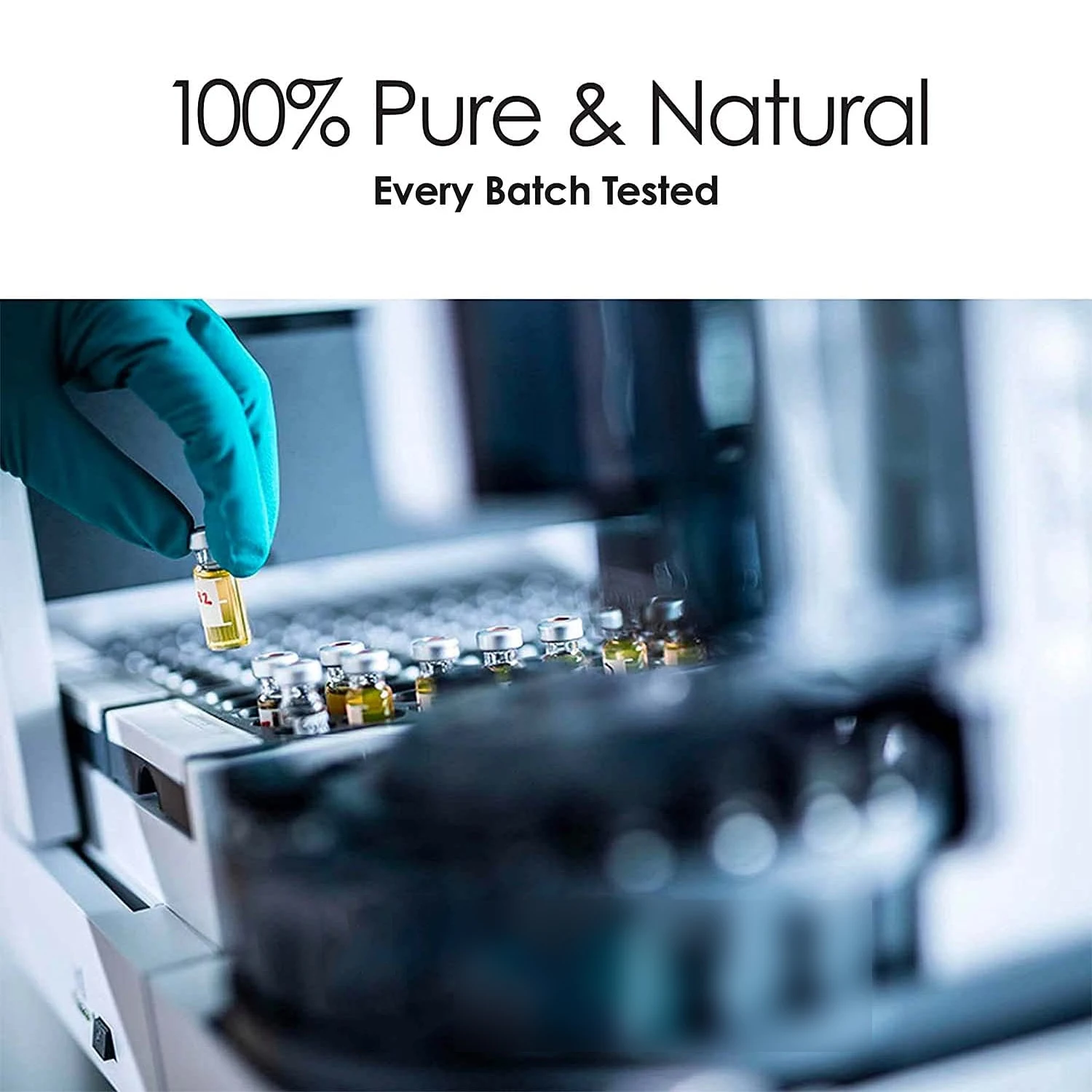 BAOLIN  OEM/ODM 30ml Oils Angelica Root Essential Oil