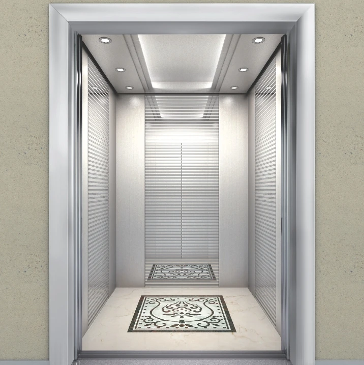 Syney Superior Quality Stable Functioning Passenger Lift Elevator