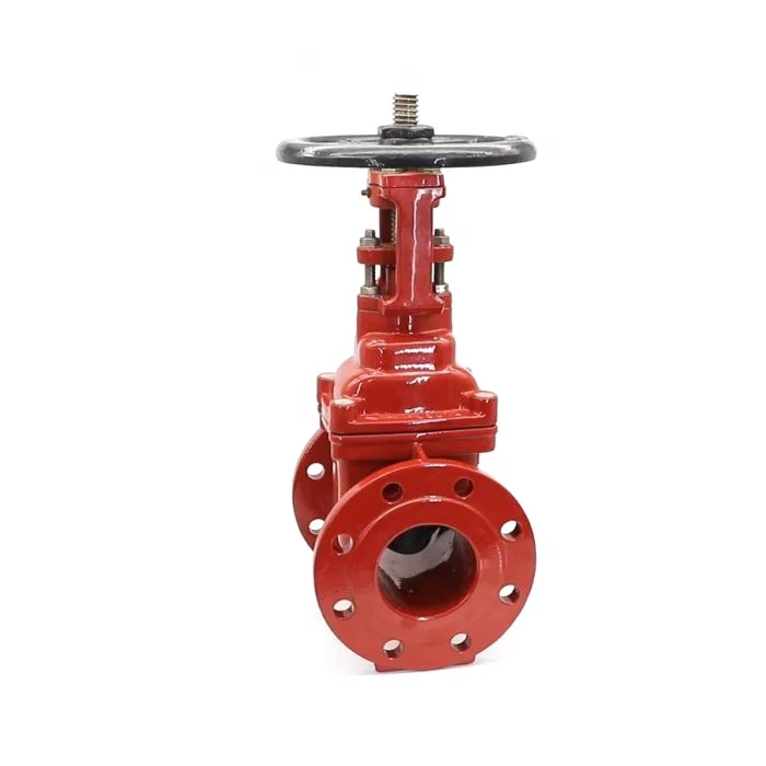 Awwa Inside Screw Rising Long Stem Flanged Gate Valve