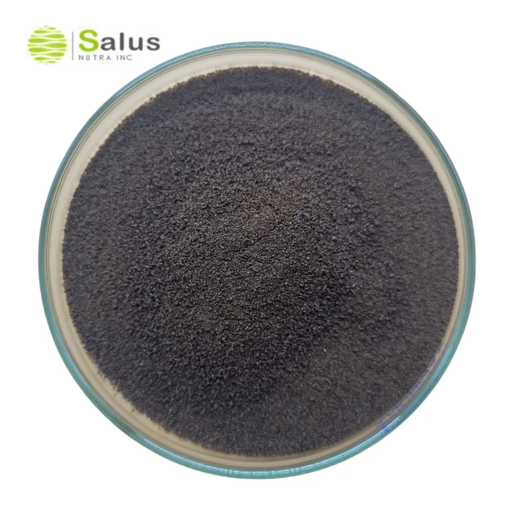 Ganoderma mushroom Coffee Powder OEM Service For Longevity, Mood, Sleep, & Immune Support