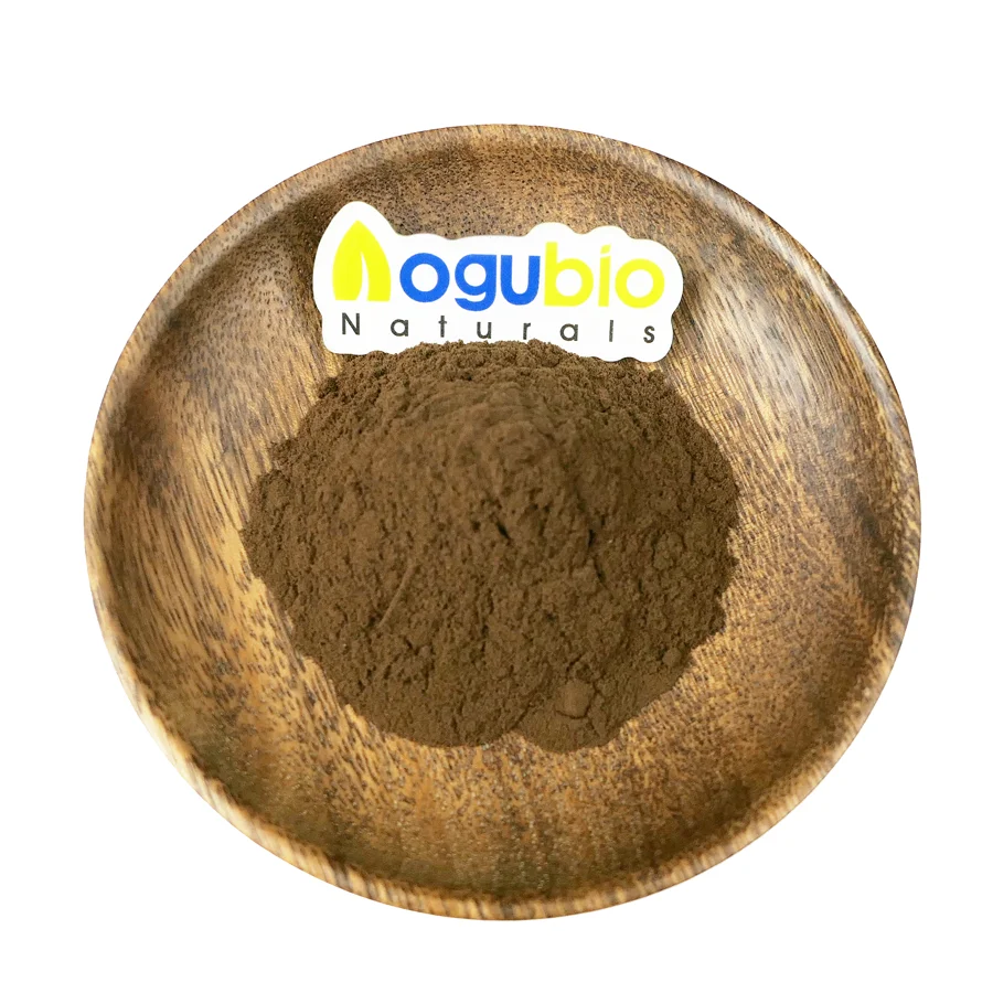 High quality Organic Maitake mushroom extract