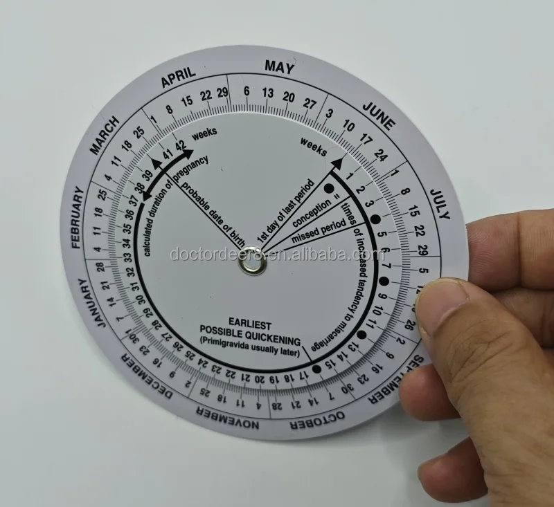 Customizable Plastic Obstetrics Wheel Calculator Gestation Born Date Chart Due Date Pregnancy Disc for Hospital/Clinic Use