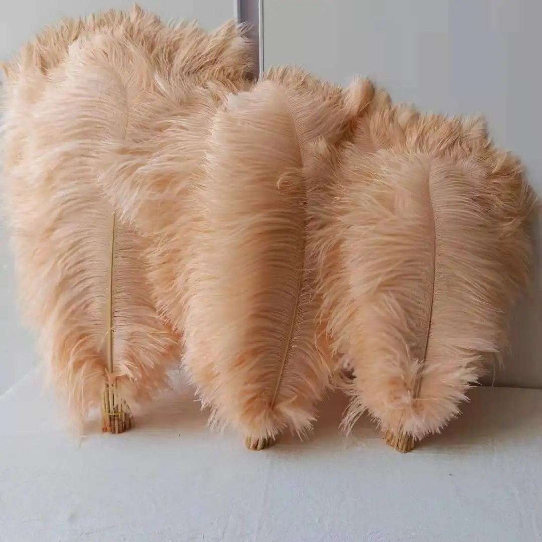 Carnival Costume Decoration 15-45cm Dyed Colorful Ostrich Feathers for Festival Samba Garments