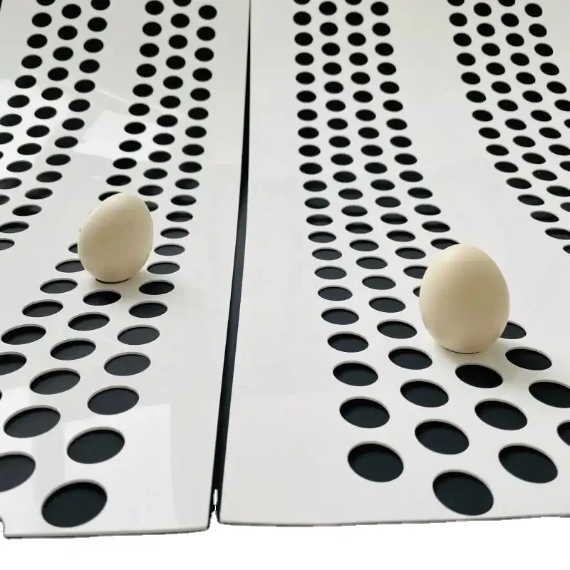 Белая конвейерная лента для яиц PP