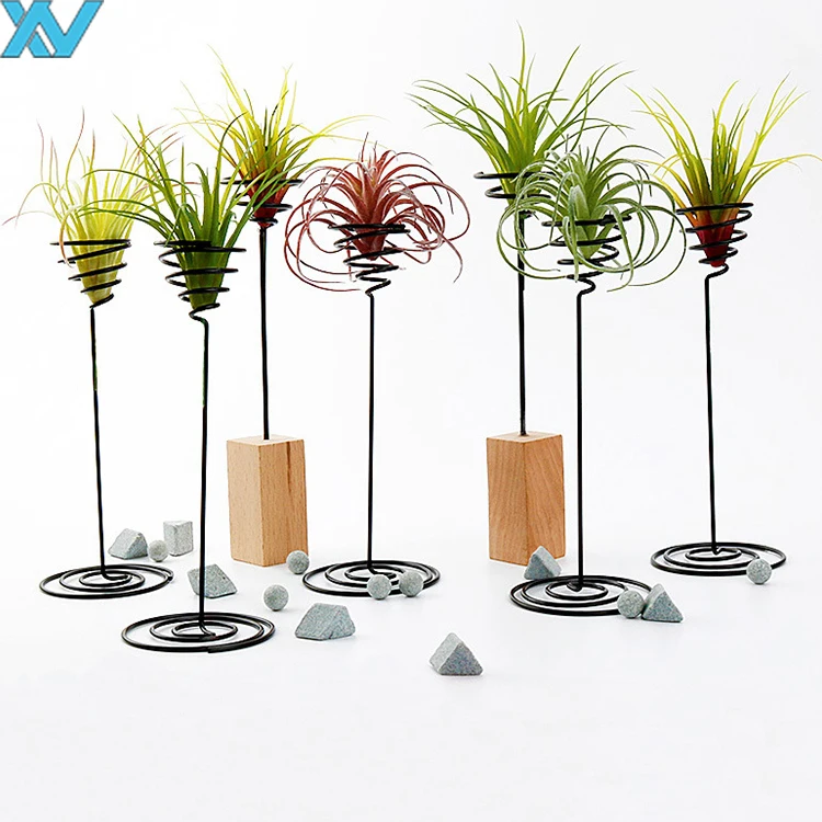 Display Desk decorate air-plant metal holder clip metal wire storage stands with wooden base