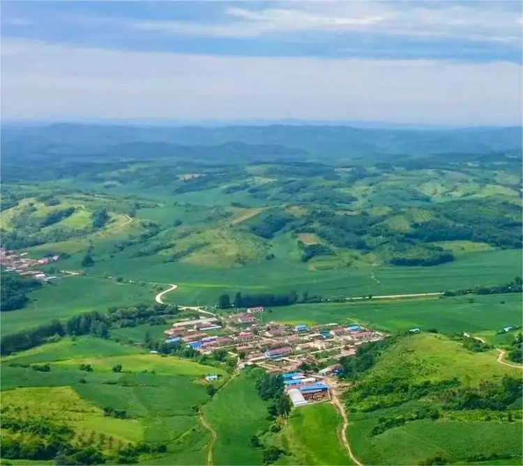 Лучшая вольластонитовая руда в Китае 3-30 мм