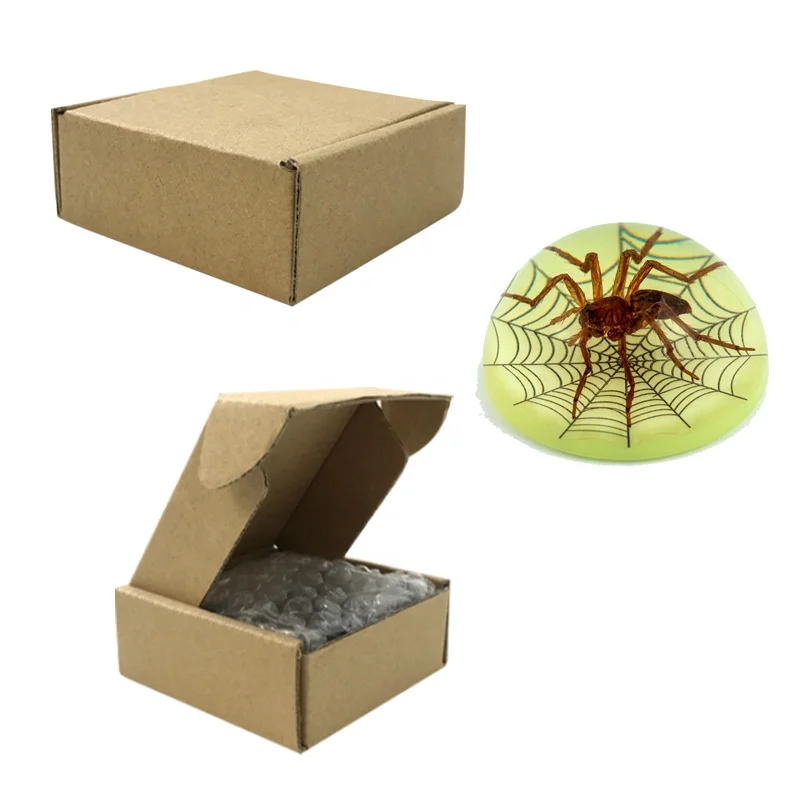 natural real spider insects animals resin desk decor hemisphere dome shape luminous custom ornaments insects resin crafts