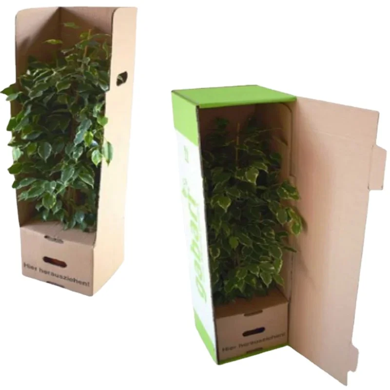 Wholesale China Custom Paper Cardboard Long Live Plant Packaging Shipping Box for Plants
