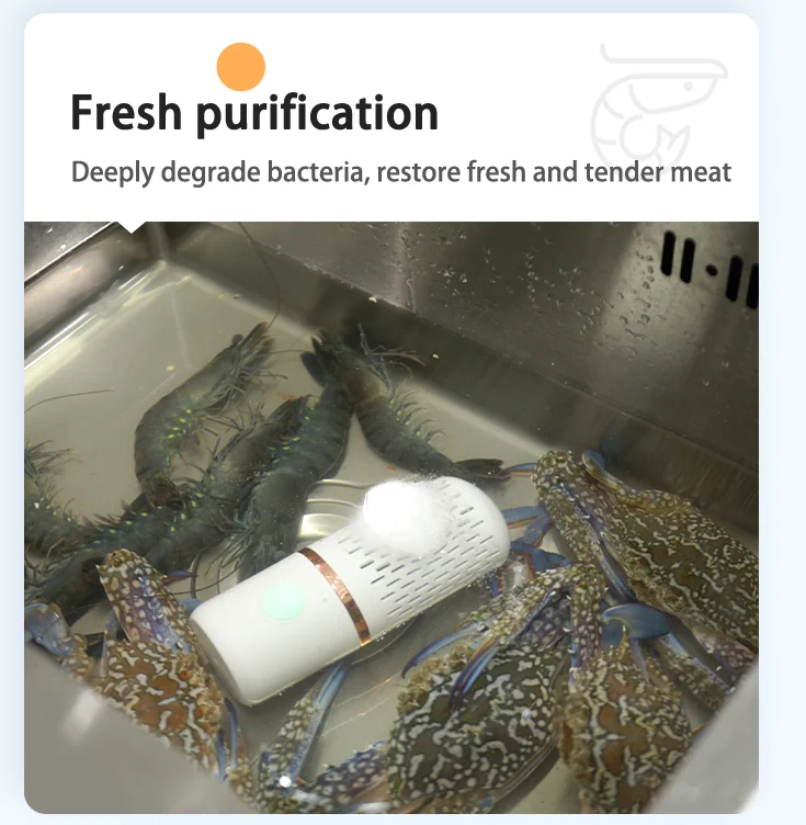 USB Wireless Food Veggie Washing Cleaner,Capsule Device Fruit Washer Machine,Fruit and Vegetable Purifier