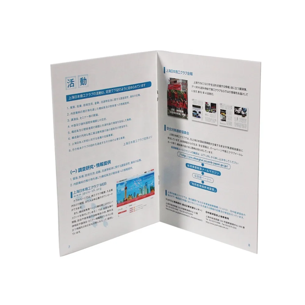 Custom Flyer Instruction Manual Printing Service