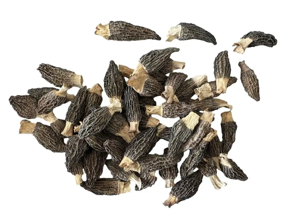Premium Chinese morel mushrooms, base straight hair, wholesale mushrooms & truffles
