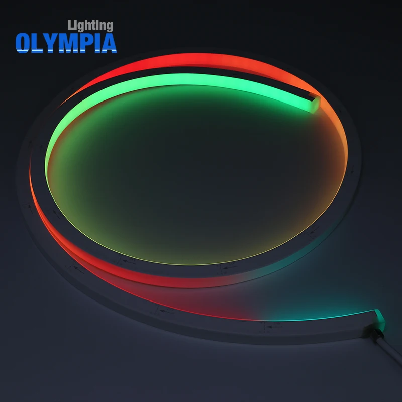 24v DC led neon ribbon building outline lighting outdoor waterproof led lights