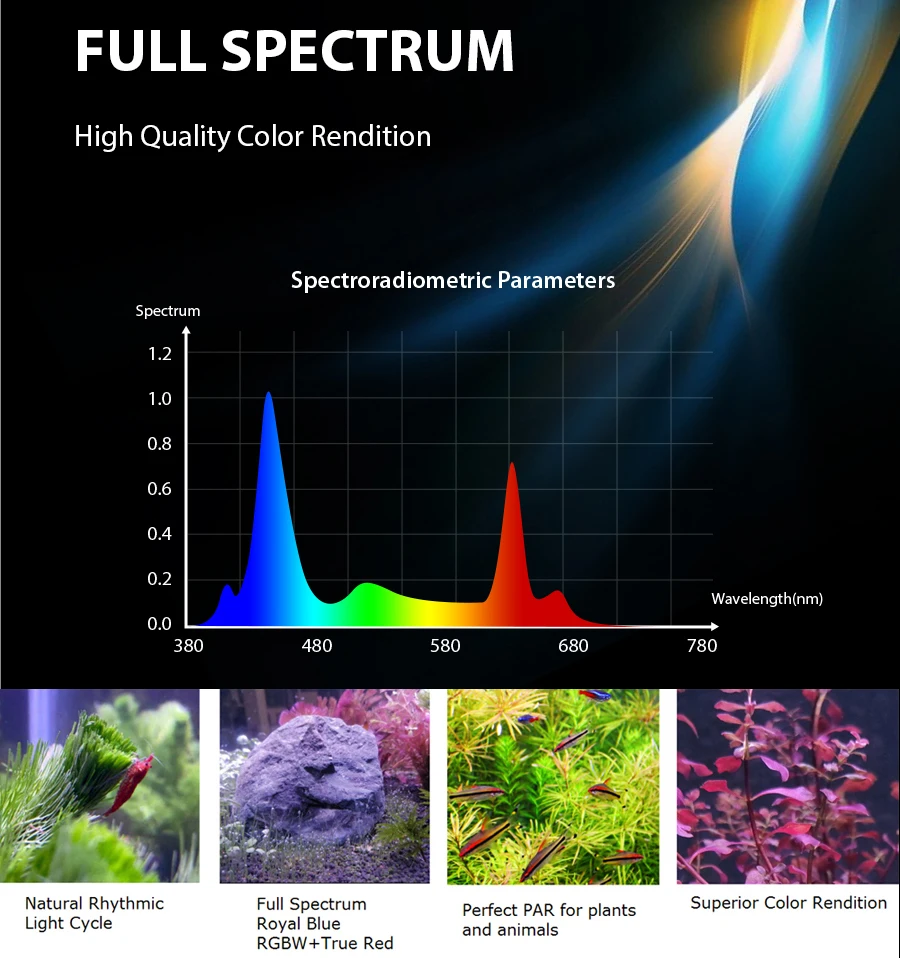 spectrum.jpg