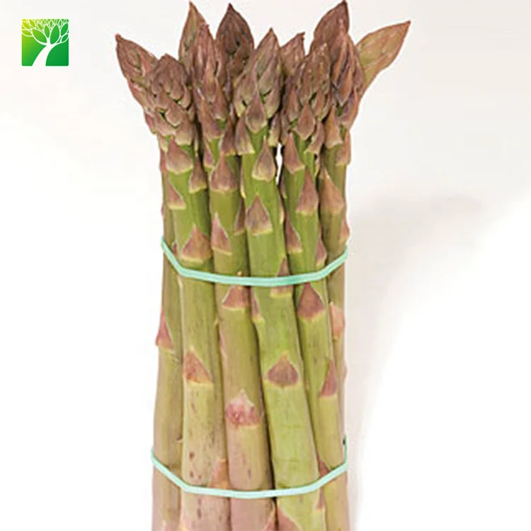 
High germination direct sow method vegetable seeds asparagus officinalis asparagus seeds 