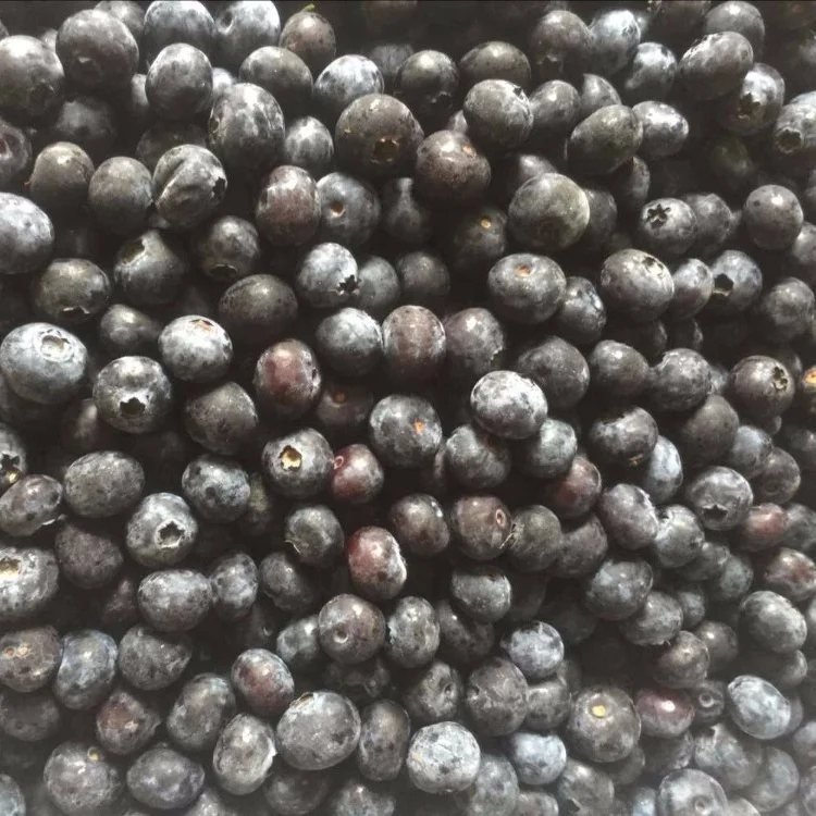 Горячая Распродажа высокое качество сертификат BRC замороженный blackberry черника малина клубника IQF