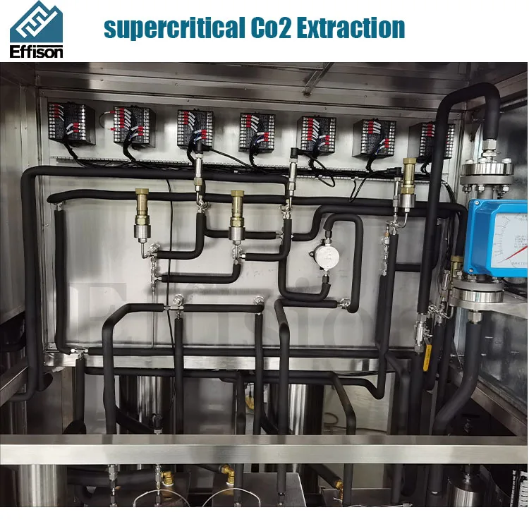 120L High Efficiency  for essential extraction Supercritical Co2 Extraction Machine