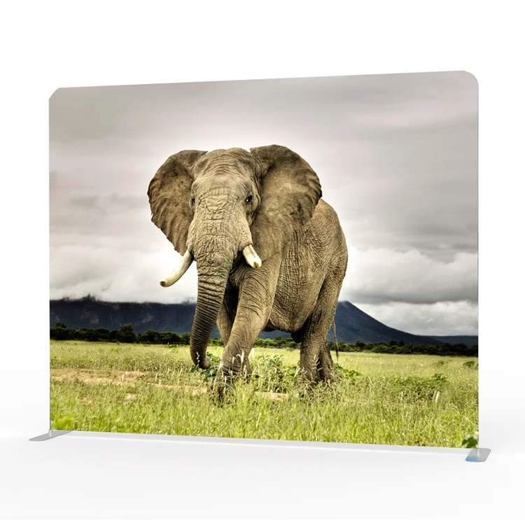 Fashion Photo booth Design Print Straight Pillow Case Backdrop with Frame stand for photography Background