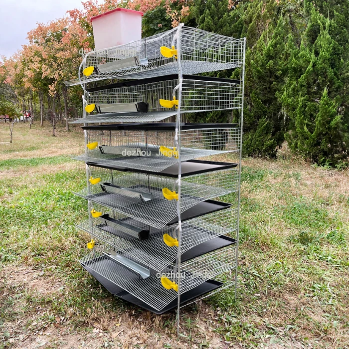 H type 6 tires quail farming equipments 330-350 capacity quail cage for sale