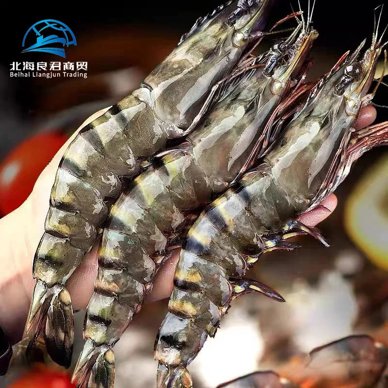 Direct Factory High Quality Wholesale importers White Shrimp/Fresh black tiger shrimps