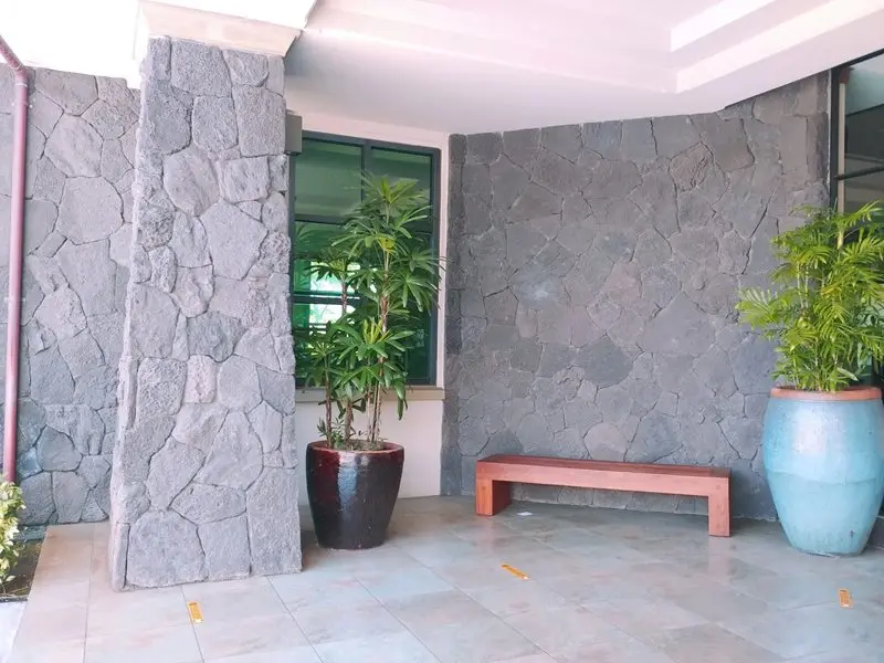 Irregular Random Shape Black Volcanic Basalt Lava Stone Veneer For Exterior Wall