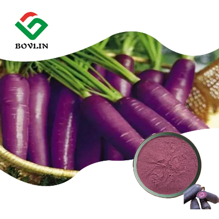 Food Grade 100% Purple Pigment Purple Carrot Powder For Beverage