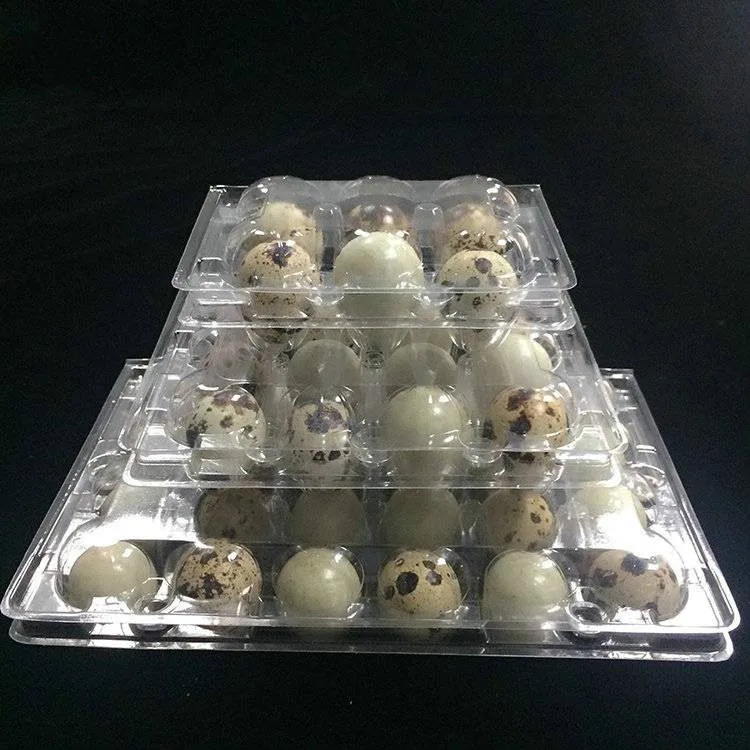Customizable clear quail egg Cartons for farm use 30mm in diameter  With 12  24 30 Holes  plastic Quail Egg container