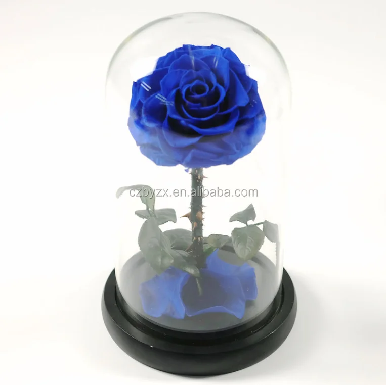 High Borosilicate Customization Galaxy Rainbow Rose In Glass Dome Led Bell With Black Wooden Base