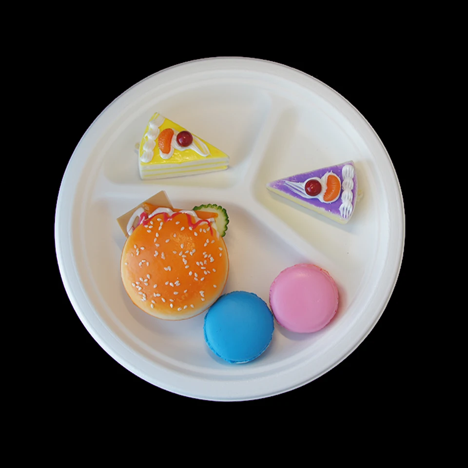 sugarcane pulp bagasse 9 inches biodegradable plates