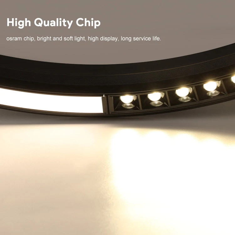 Anti-Glare Rail System 3w 6w 7w 12w 18w Smart Tuya Control Dimmable 220v Ceiling Circular Magnetic Track Light System