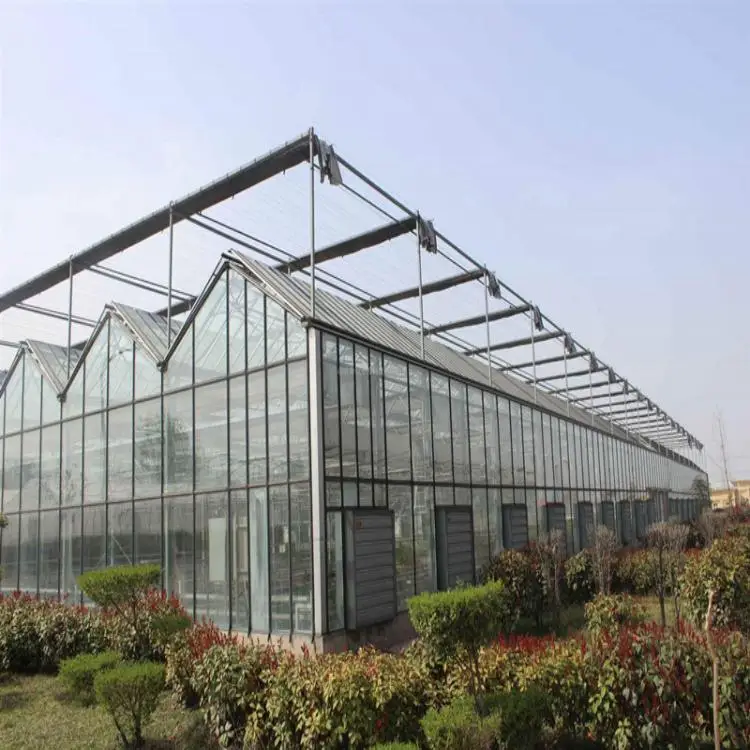 Wind resistant prefabricated one stop gardens greenhouse parts greenhouse victorian glass green house