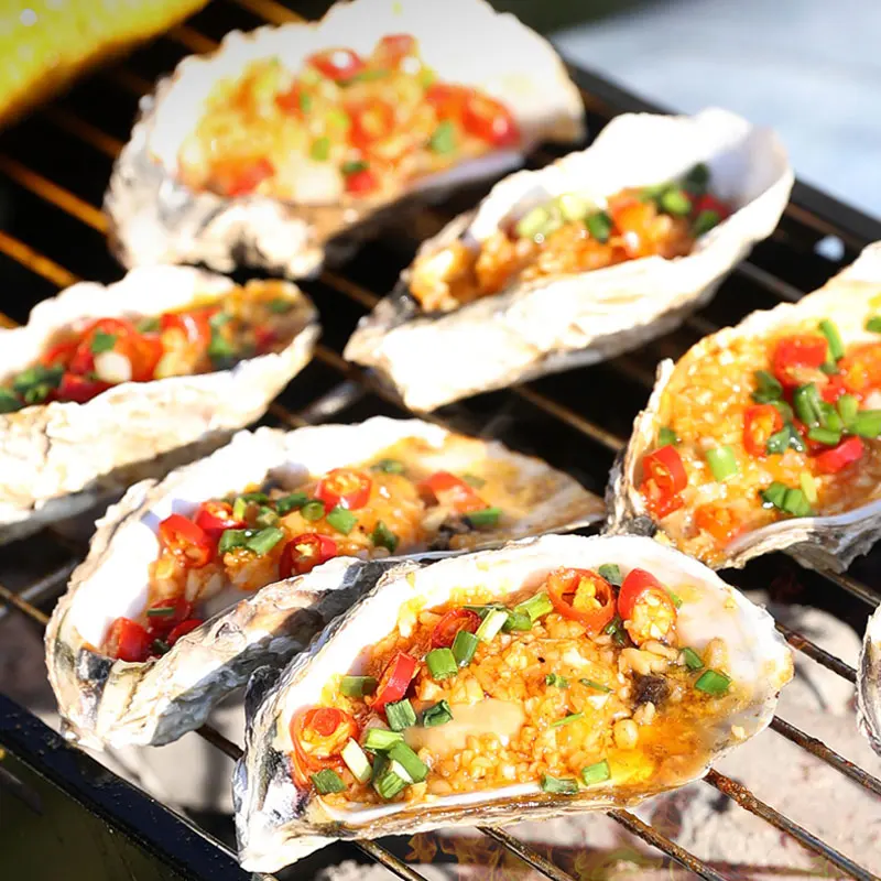 Durable Easy Carry Charcoal Folding Barbecue Grill Portable Bbq Charcoal Grill For Outdoor Picnic