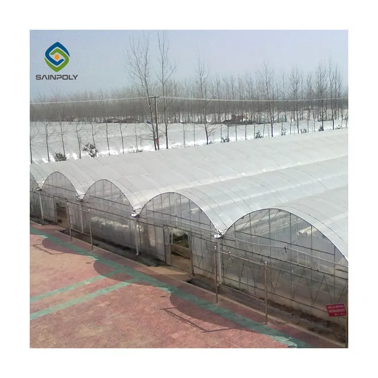 High quality Chinese double layer film solar greenhouse with thermal blanket for agriculture