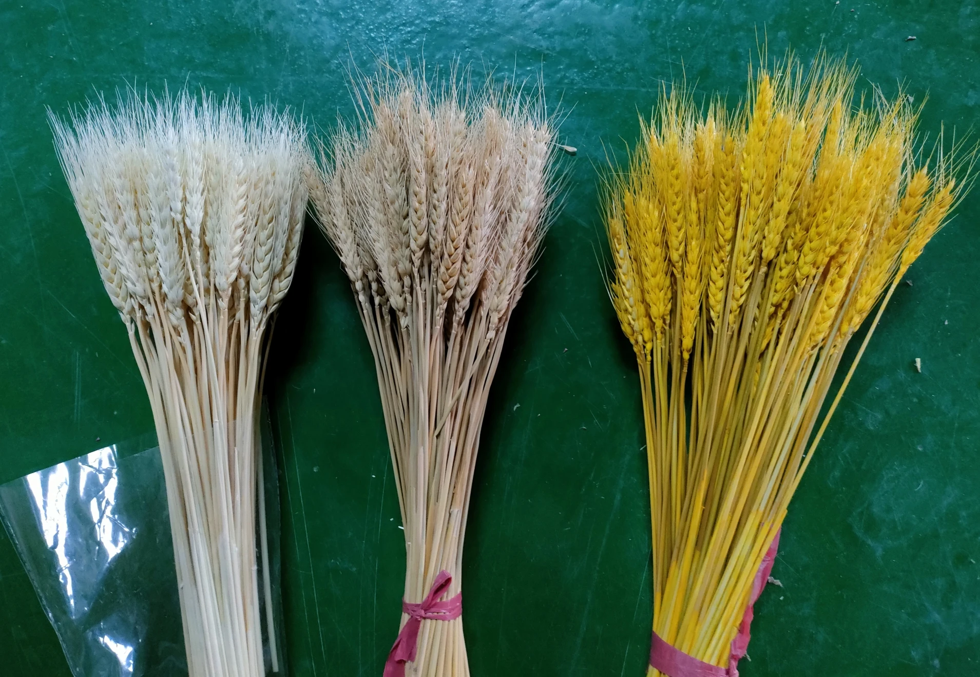 Dried natural Wheat,  wheat stems grass flower for home wedding party theme decoration
