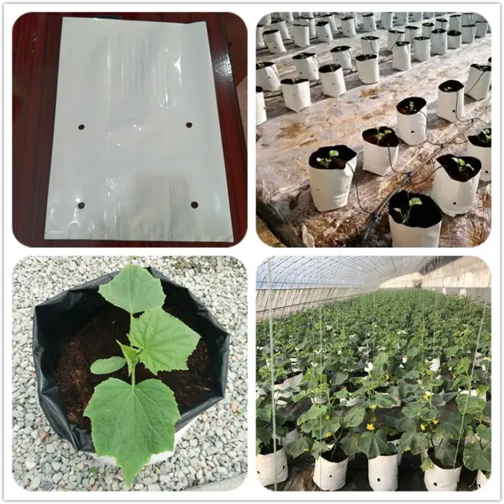 New Trend  Plastic Grow Bags Black White PE Material Seedlings and Rooting