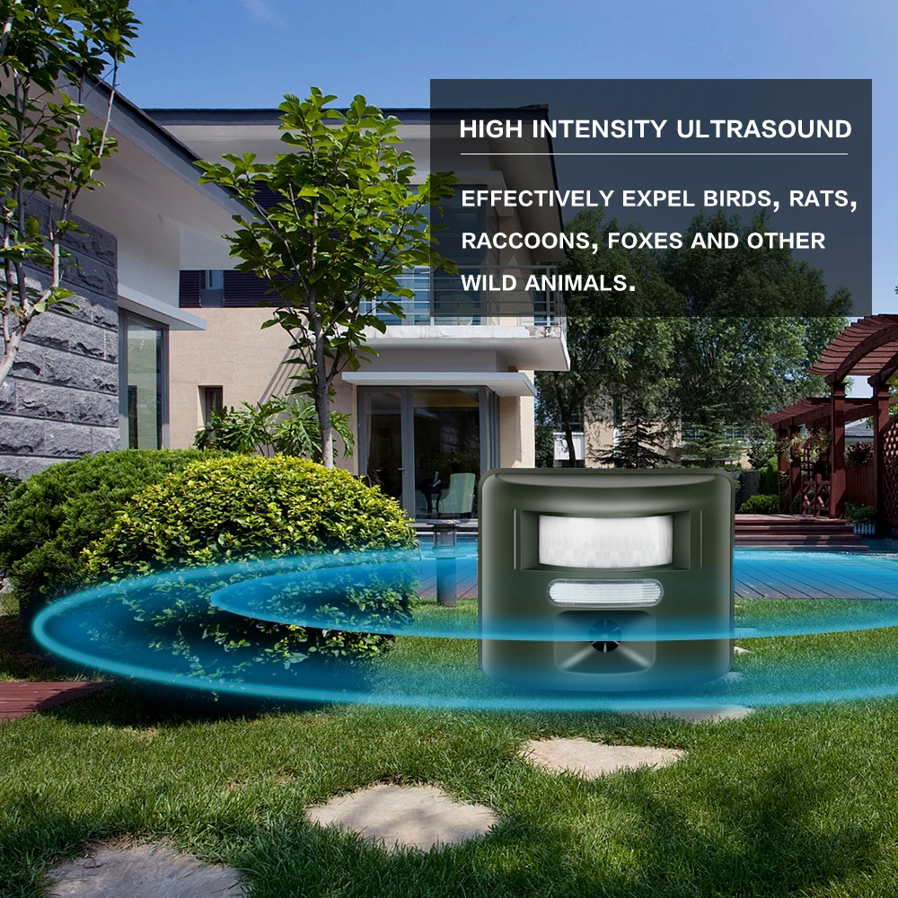 
a pest in the house a repellent in french repeller bed bug 