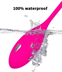 Smart Silicone Kegel Ball Vaginal Remote Control Ben Wa Kegel Balls for Women Vibrator Egg Pink Purple Gift Waterproof Steel Box