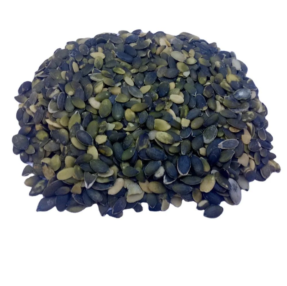 2021 crop China bulk raw GWS pumpkin seeds