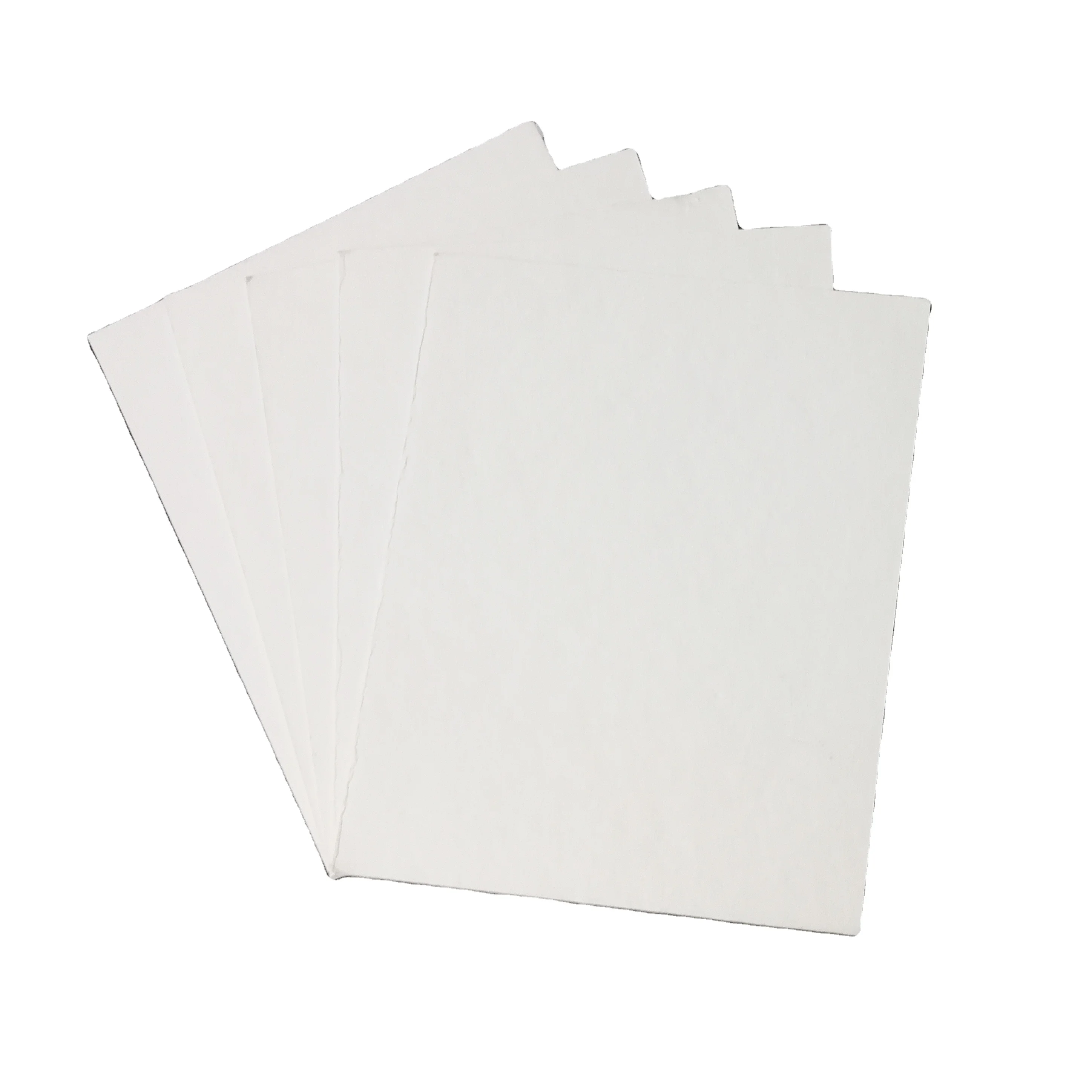 Asia Virgin Bamboo Pulp Sheets for Molded Products from Pulp Mill