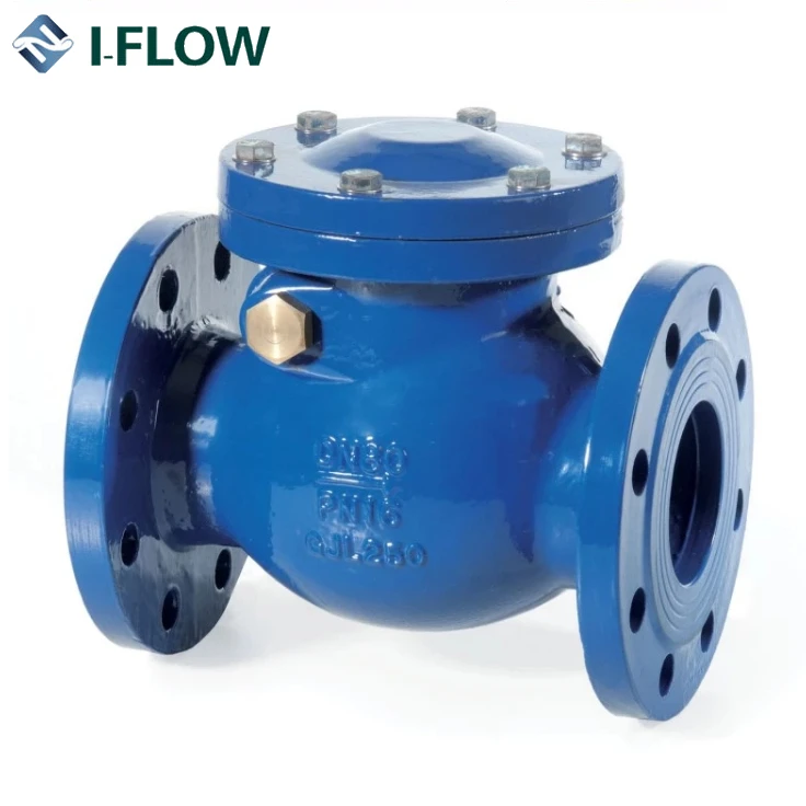 BS cast iron swing check valve with lever weight