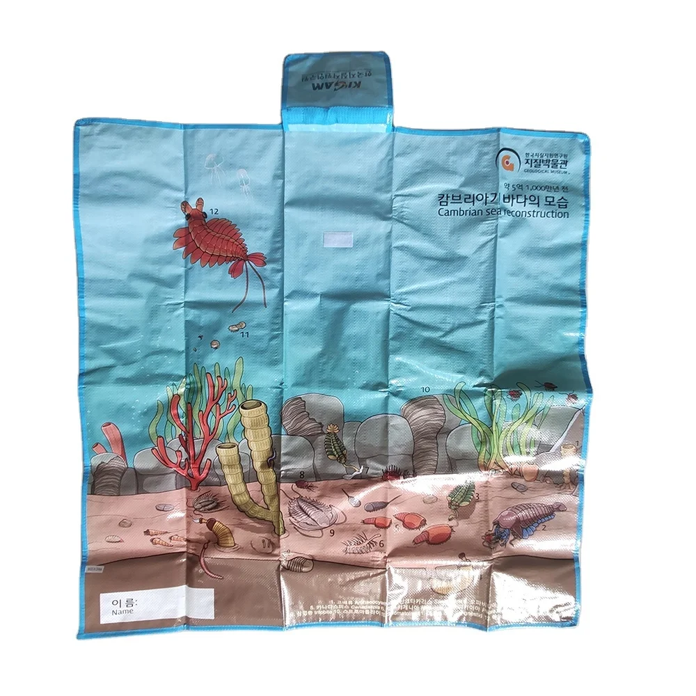 Водонепроницаемый уличный полипропиленовый тканый ламинированный пляжный коврик, портативный большой коврик для кемпинга, семейного пикника