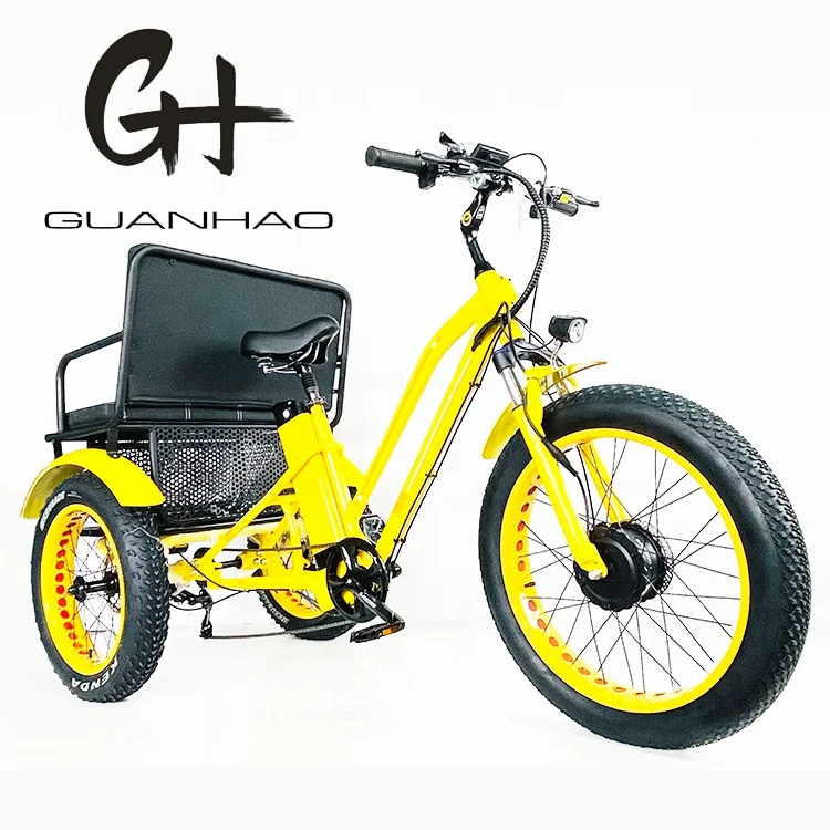24Inch *4.0 Snow fat tire 48V 750W 21AH OEM Rear Seat two people 3 wheels Electric Rickshaw Tricycle